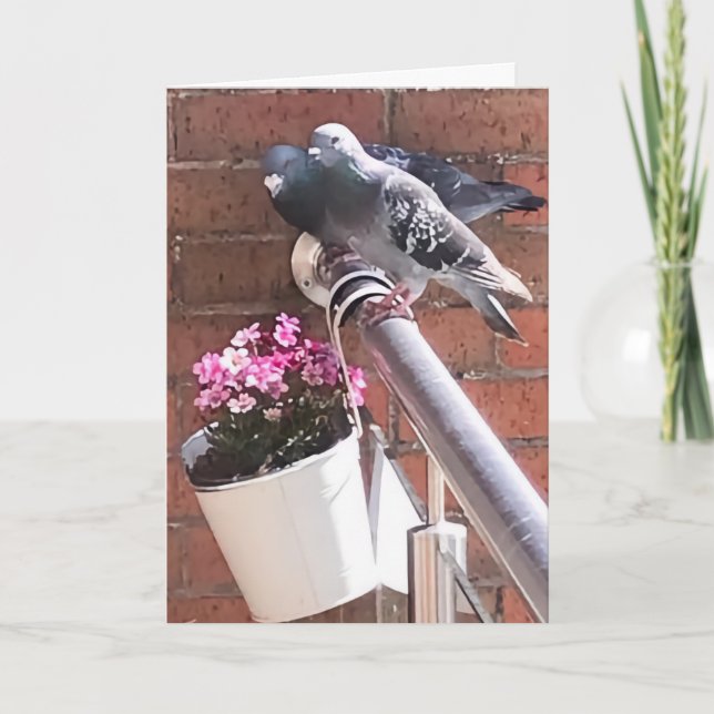 Taube und Blume Gruß Karte (Vorderseite)