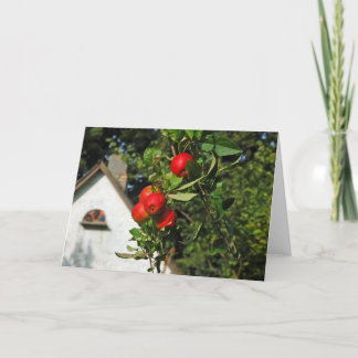 Tauben-Apfel-Gruß-Karten Karte