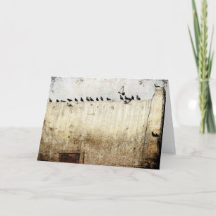 Tauben auf einem Dach Karte