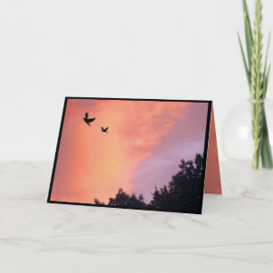 Tauben bei Sonnenuntergang Geburtstag Karte