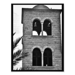 Tauben Fotodruck