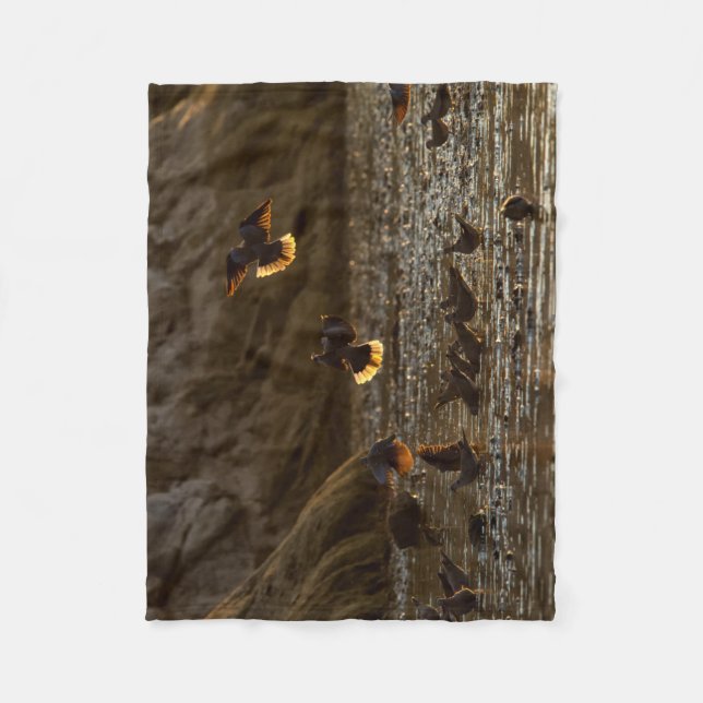 Tauben im Morgenlicht Fleecedecke (Vorderseite)