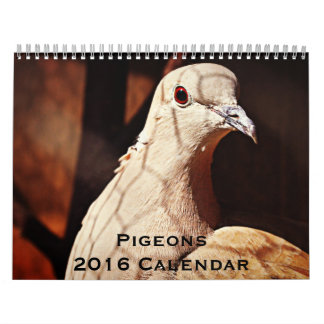 Tauben-Kalender 2016 Kalender