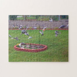 Tauben Landung Start von Vögeln Feeder Puzzle