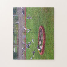 Tauben Landung Start von Vögeln Feeder Puzzle