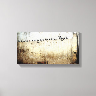 Tauben Leinwanddruck