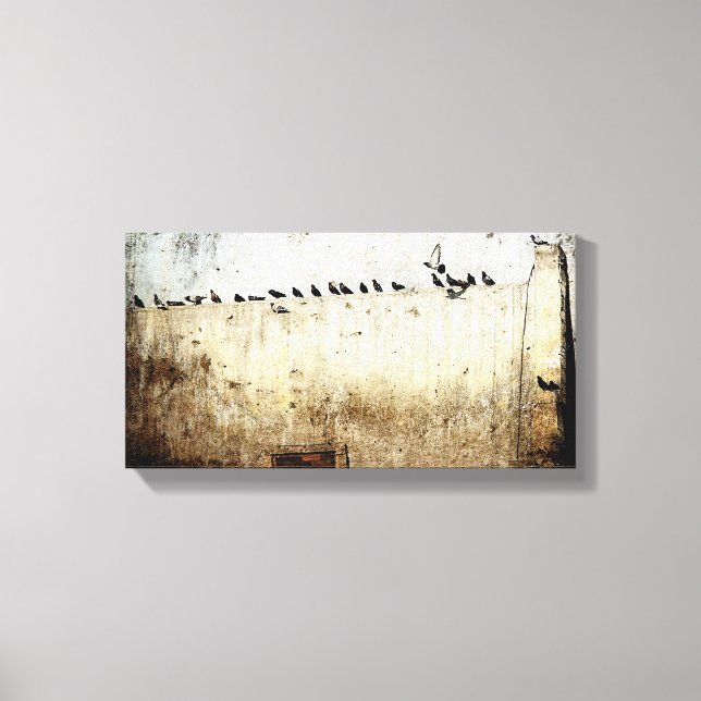 Tauben Leinwanddruck (Vorderseite)