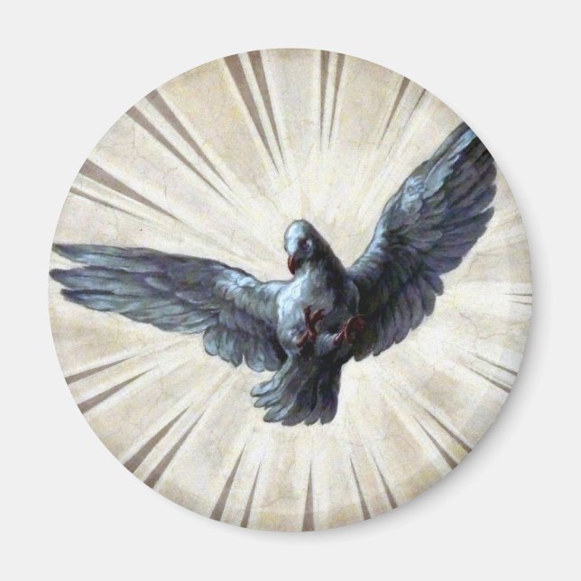 tauben magnet (Vorne)