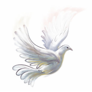 Tauben-Magnet Fotoskulptur Magnet