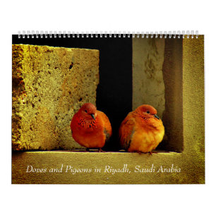 Tauben und Tauben Kalender