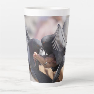 Tauben Vögel Farbige Flügel Foto Für Vogel Liebhab Milchtasse