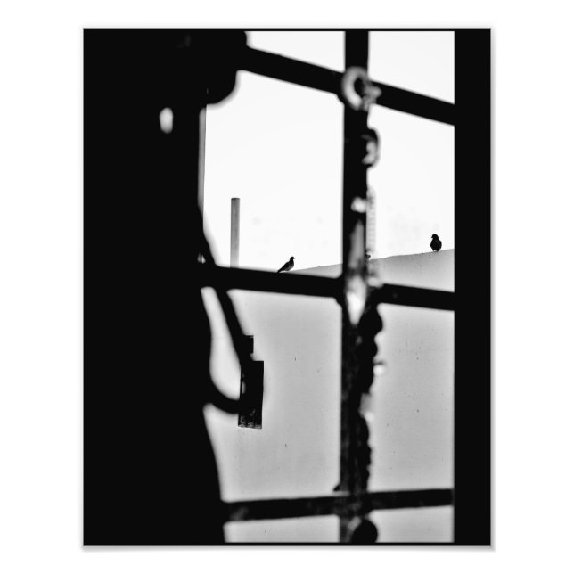 Taubenansicht Fotodruck (Vorne)