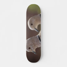 Taubenhaufen - Skateboard