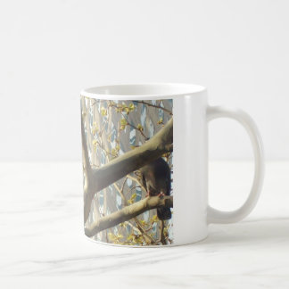 Taubenliebhaber-Bild Tasse