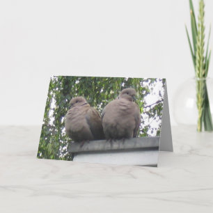 Taubenpostkarte Karte