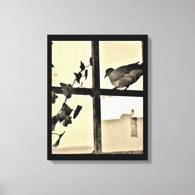 Taubenruhen Leinwanddruck (Vorderseite)