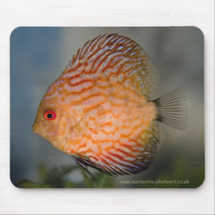 Taubenstein Discus Mousemat Mousepad