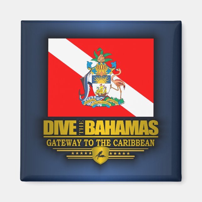 Tauchen auf den Bahamas 2 Magnet (Vorne)