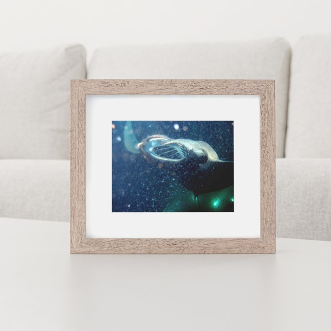 Tauchen mit den Manta Rays - Die große Insel Poster (Von Creator hochgeladen)