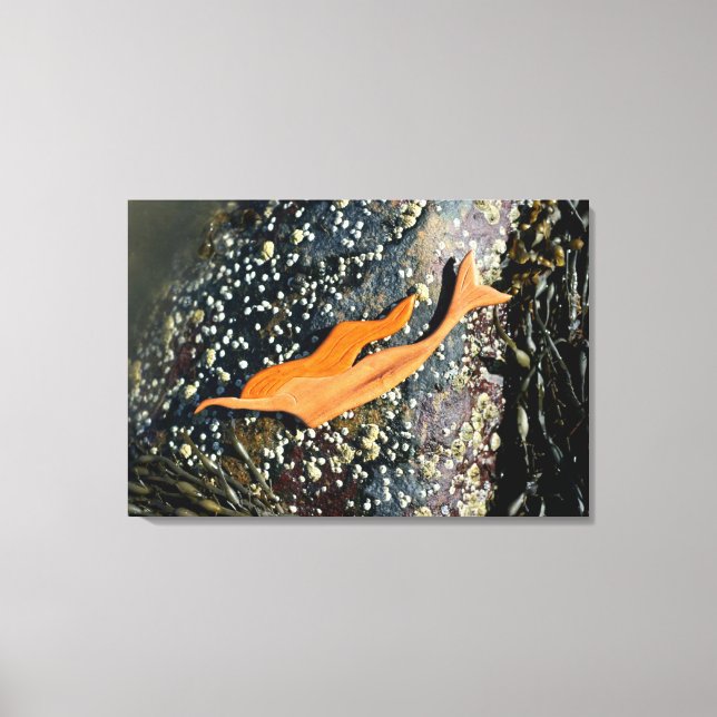 Tauchen mit Meerjungfrau Leinwanddruck (Vorderseite)