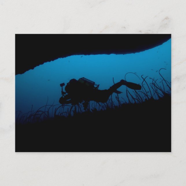 Tauchen Postkarte (Vorderseite)