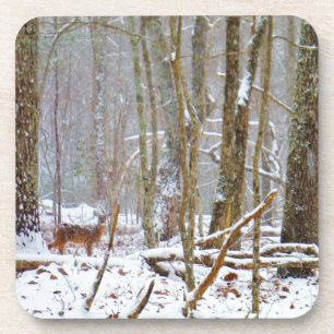 Tauchen Sie ein in den Schnee, Hirsch im Arrowhad- Untersetzer