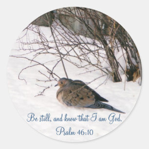 Tauchen Sie ein in die Snow Scripture Stickers