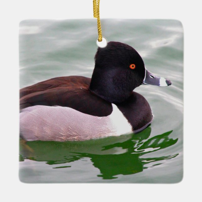 Tauchente Keramikornament (Vorderseite)