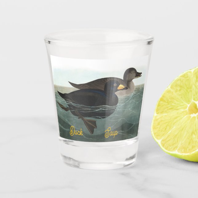 Tauchente-Schussglas Schnapsglas (Vorderseite)
