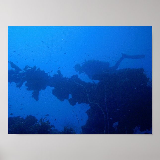 Taucher Poster (Vorne)