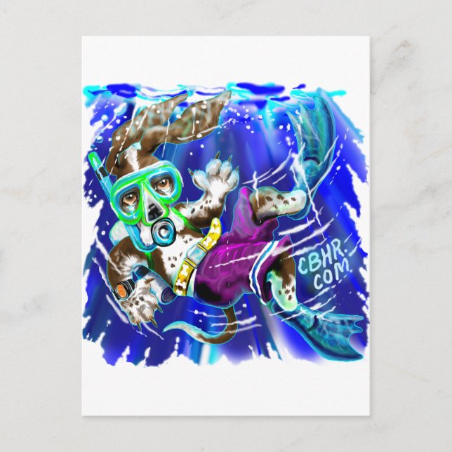 Taucherhund Postkarte (Vorderseite)