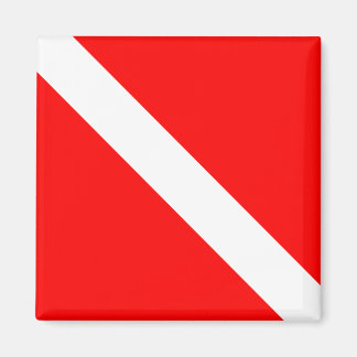 Tauchertaucher unter Flagge Magnet