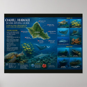 Tauchplätze auf Hawaii Poster
