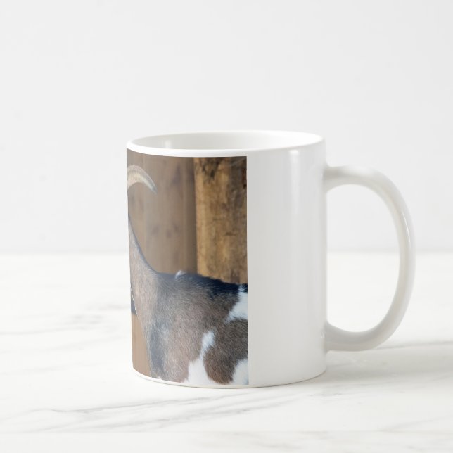 Tauernschecken-Ziege Kaffeetasse (Rechts)