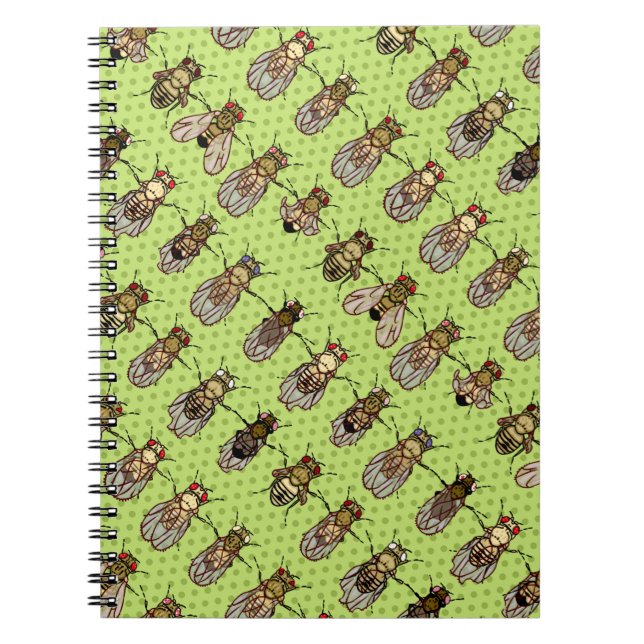 Taufliege-Frucht-Fliegen-Genetik - Mutanten - Notizblock (Vorderseite)