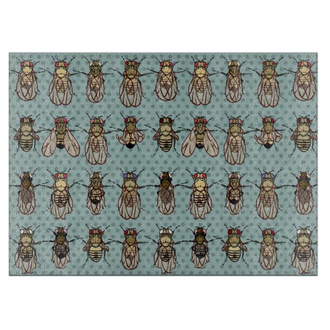 Taufliege-Frucht-Fliegen-Genetik - Mutanten Schneidebrett (Vorderseite)