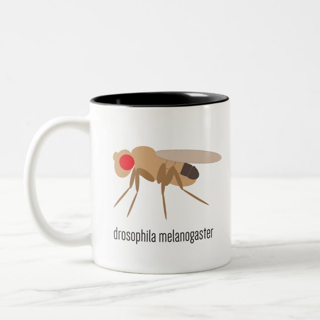 Taufliege-Kaffee-Tasse Zweifarbige Tasse (Links)