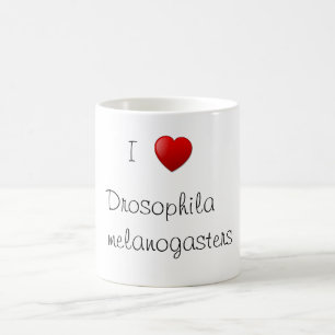Taufliege Kaffeetasse