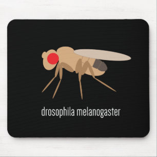 Taufliege Mousepad
