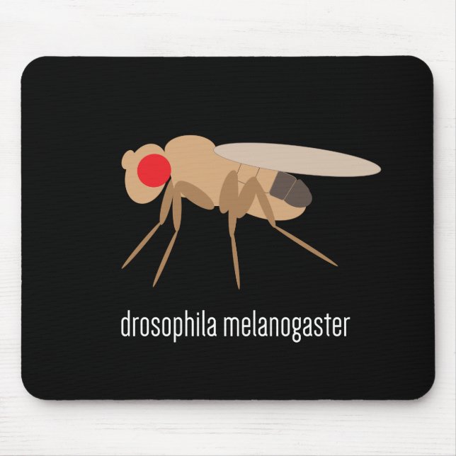Taufliege Mousepad (Vorne)