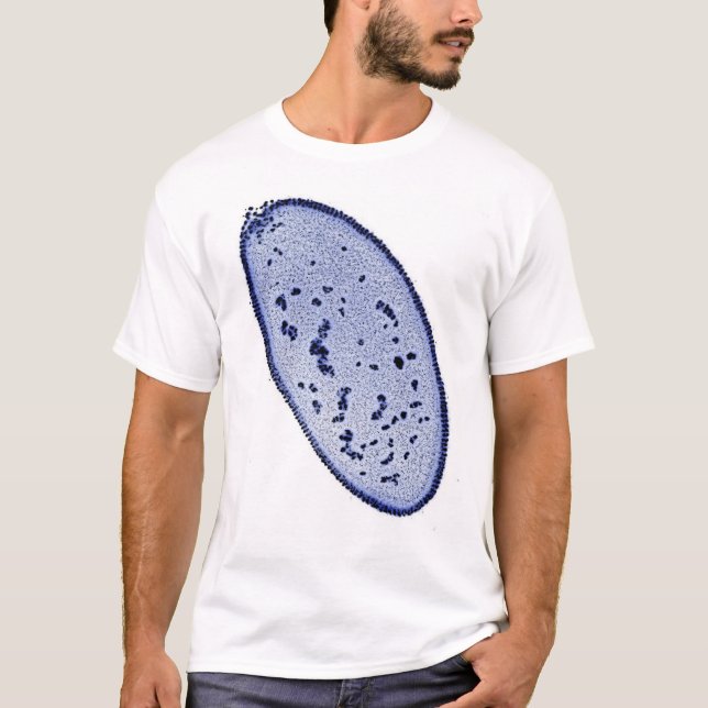 Taufliegeembryo - DNS-Fleck T-Shirt (Vorderseite)