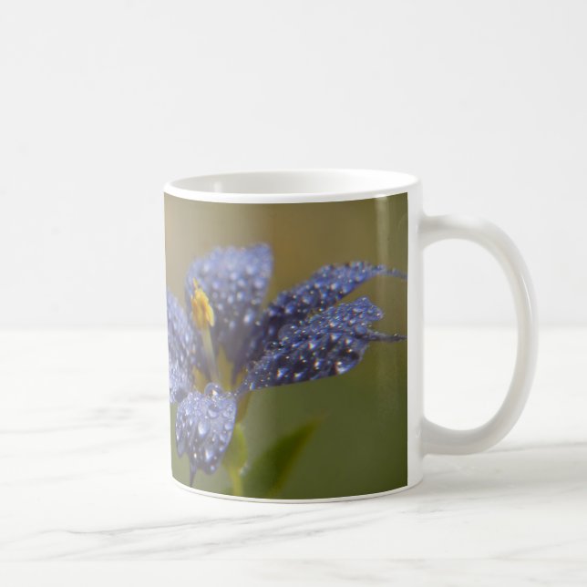 Taufrische Blaue Augen Kaffeetasse (Rechts)