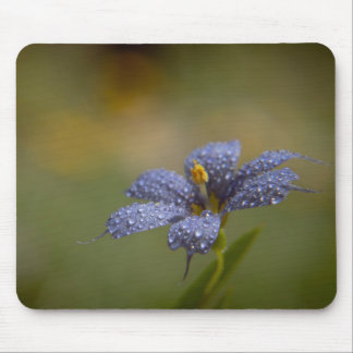 Taufrische Blaue Augen Mousepad