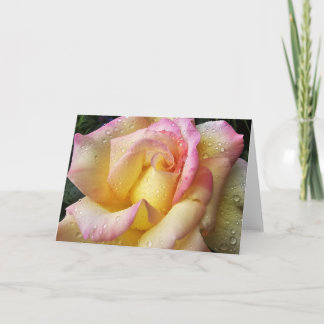 taufrische Rose Karte