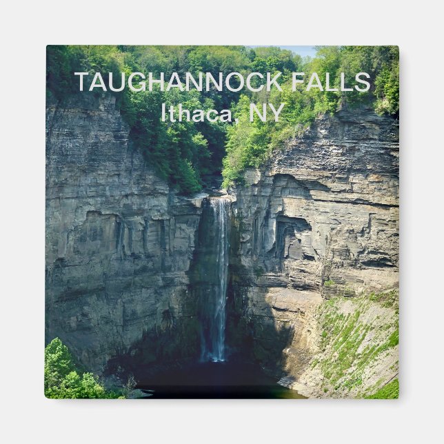 Taughannock Falls, Ithaca NY Magnet (Vorne)