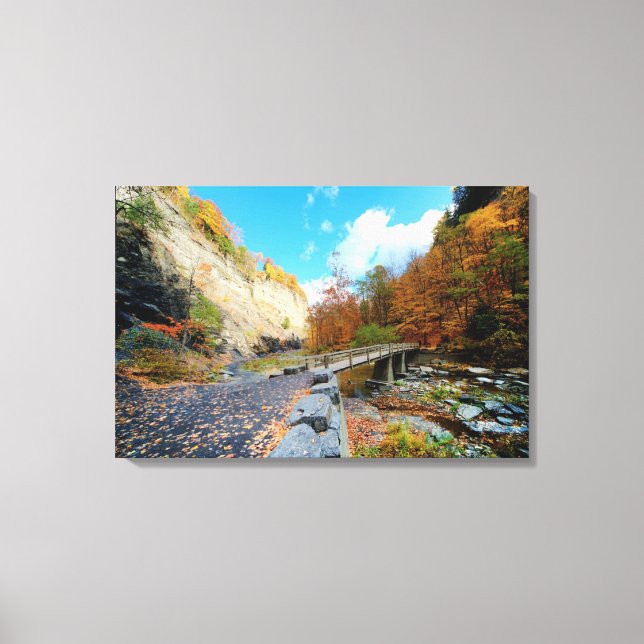 Taughannock Falls Staat Park Leinwanddruck (Vorderseite)