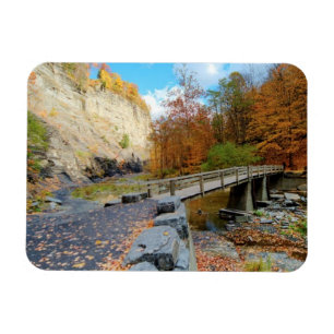 Taughannock Falls Staat Park Magnet