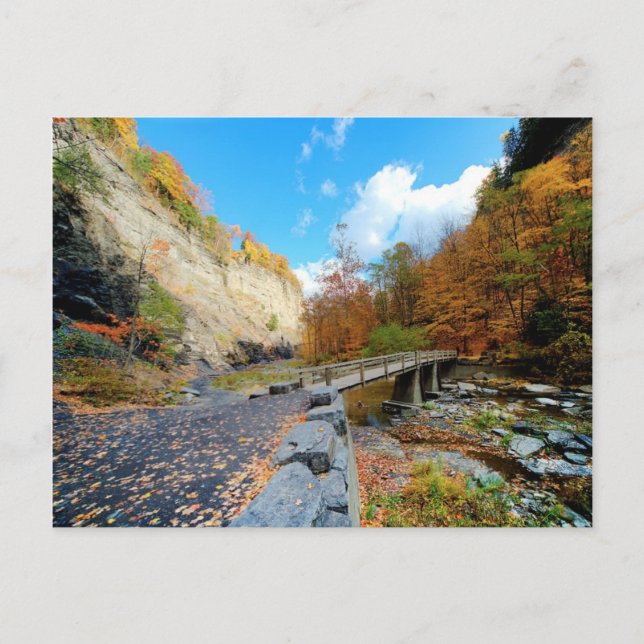 Taughannock Falls Staat Park Postkarte (Vorderseite)