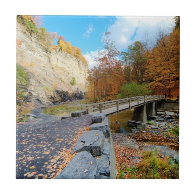 Taughannock fällt Staats-Park Fliese (Vorderseite)