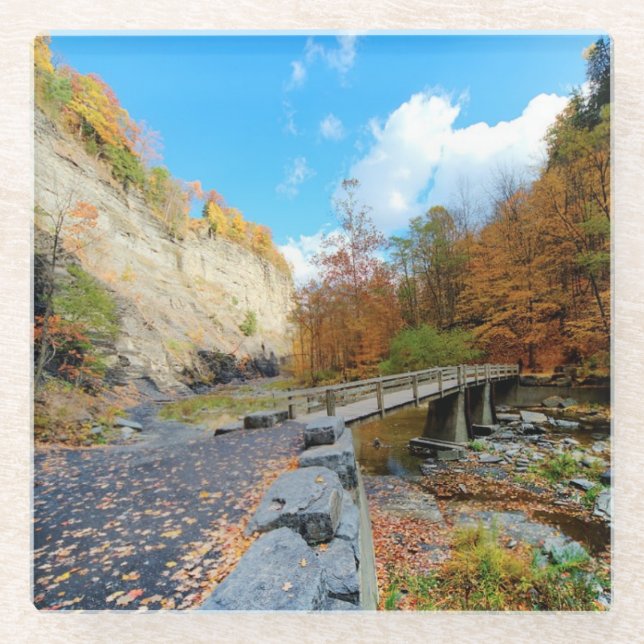 Taughannock fällt Staats-Park Glasuntersetzer (Vorderseite)